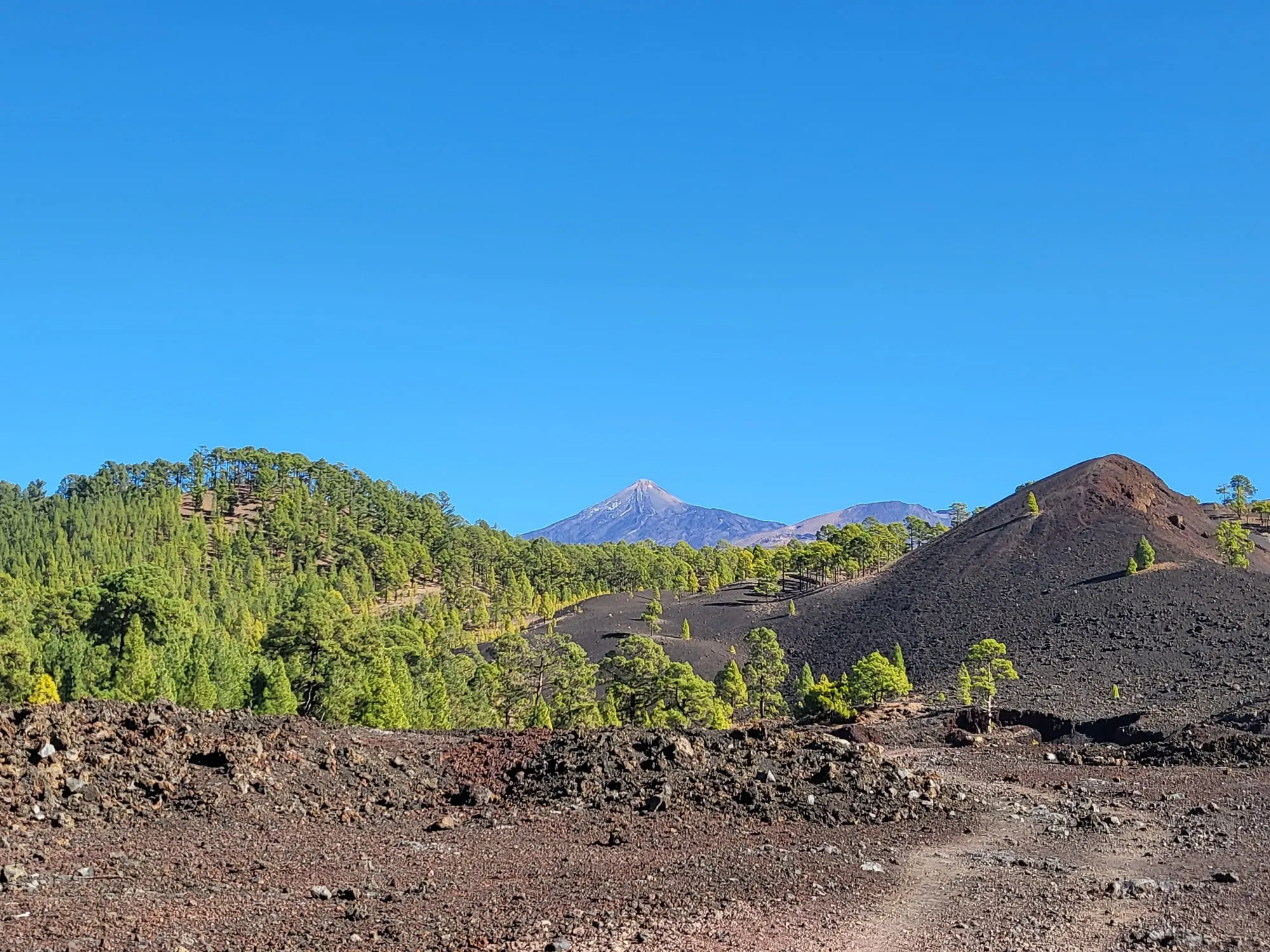 Black volcanic ground and a cinder cone above Santiago del Teide, with Canary pines growing through the lava and the snow-topped peak of Teide behind