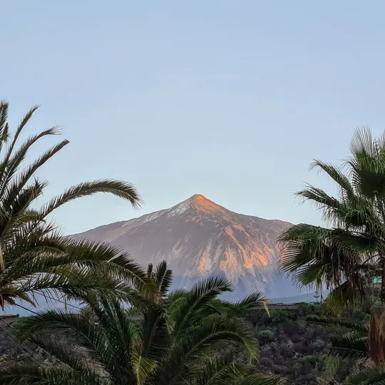 El Teide with palm trees at sunset
