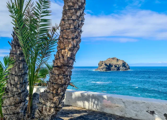 Palm trees and the rock of Garachico seen from the coast