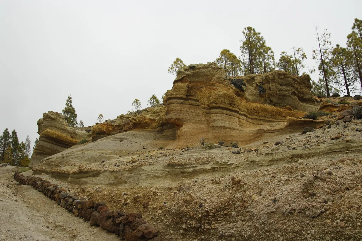Pale, banded volcanic pumice eroded into steps and columns beside a stone-edged track, with Canary pines growing along the top