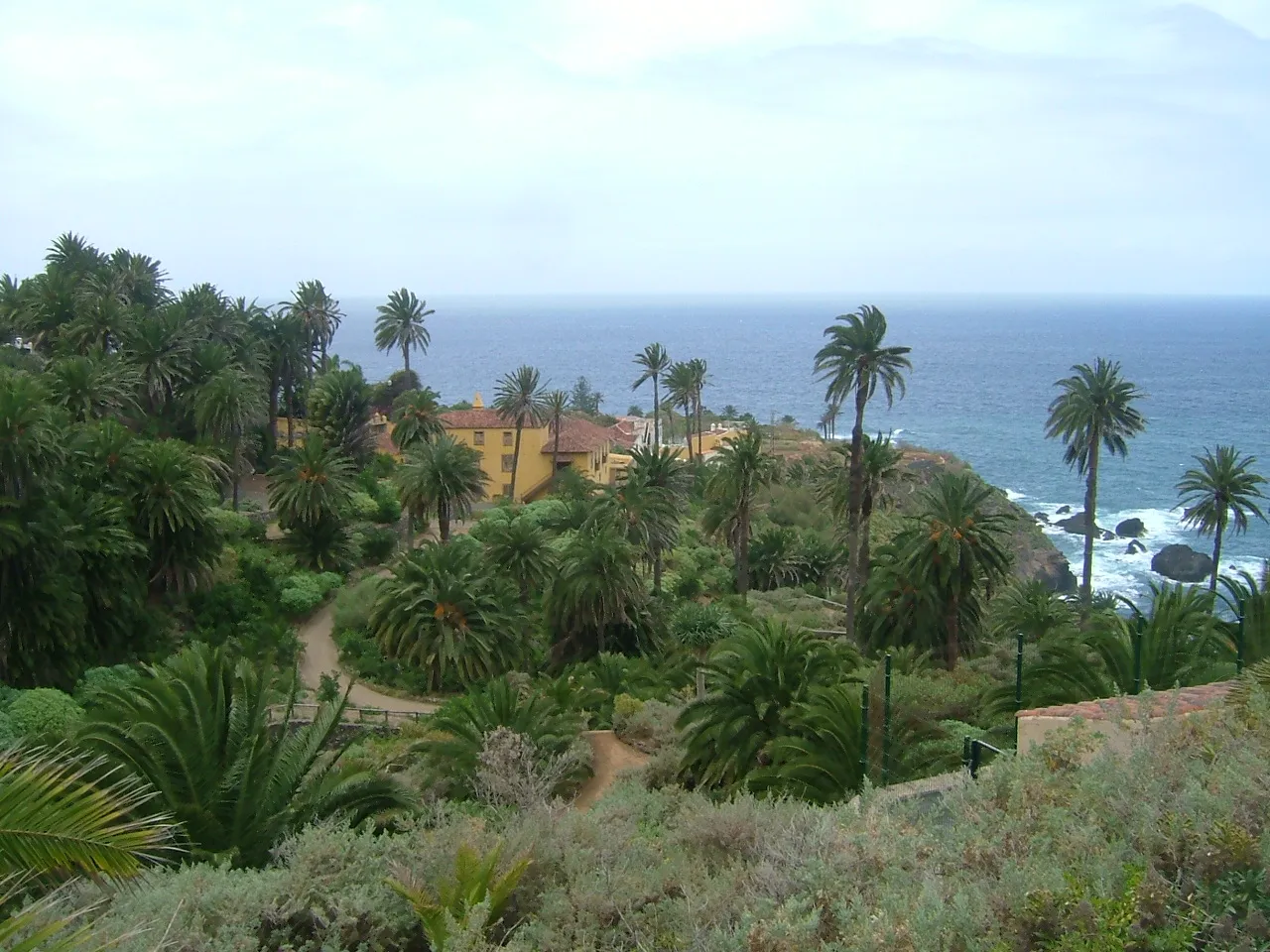 The palm grove at Rambla del Castro seen from above: dense Canary date palms on a green headland, a yellow house among them, and the Atlantic beyond