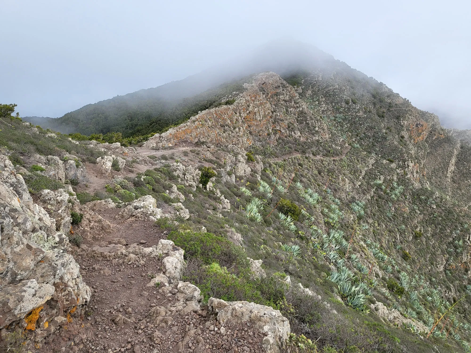 A stony ridge path in the Teno highlands disappearing into low cloud, with agaves and lichen-covered rock on the slope falling away to the right
